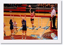 Set 1 * (120 Slides)